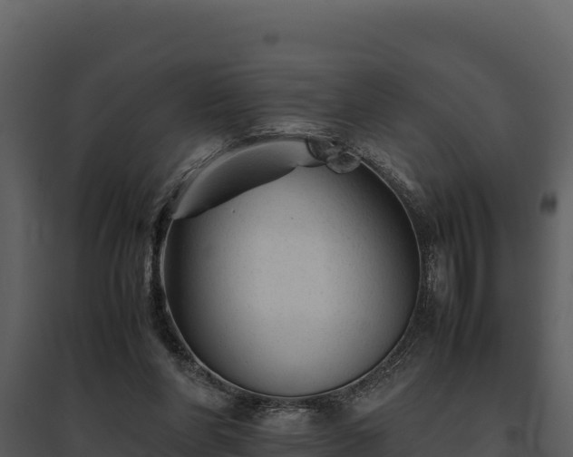 X0000095690206200801151156