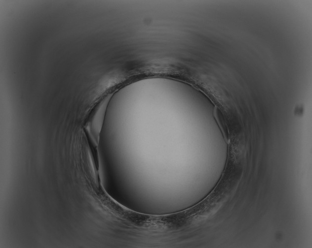 X0000095690207200801151156