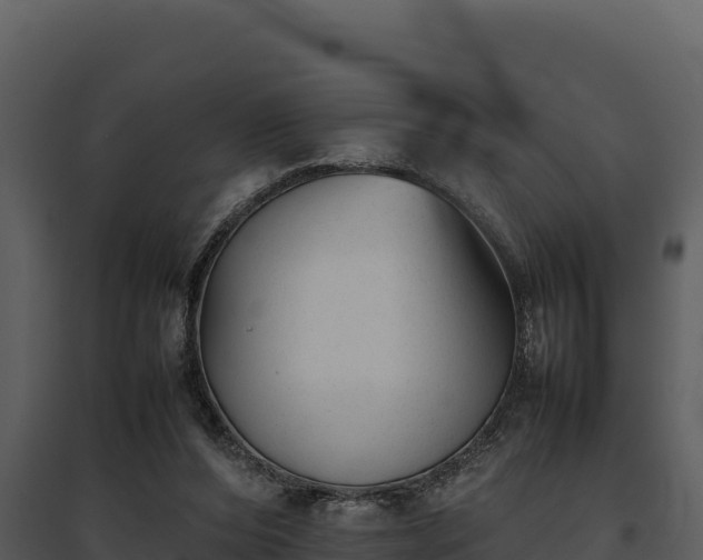 X0000095690208200801151156