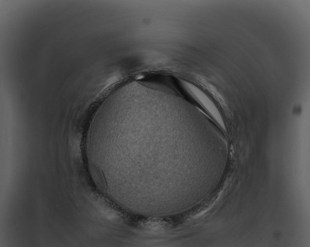 X0000095690209200801151156