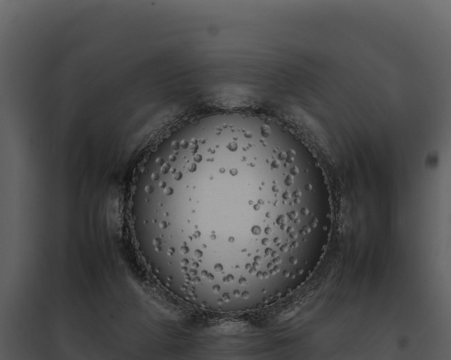 X0000095690210200801151156