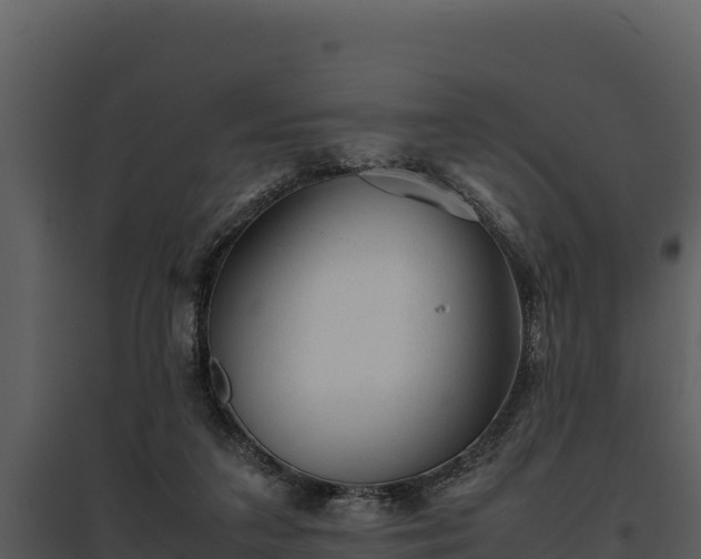 X0000095690211200801151156