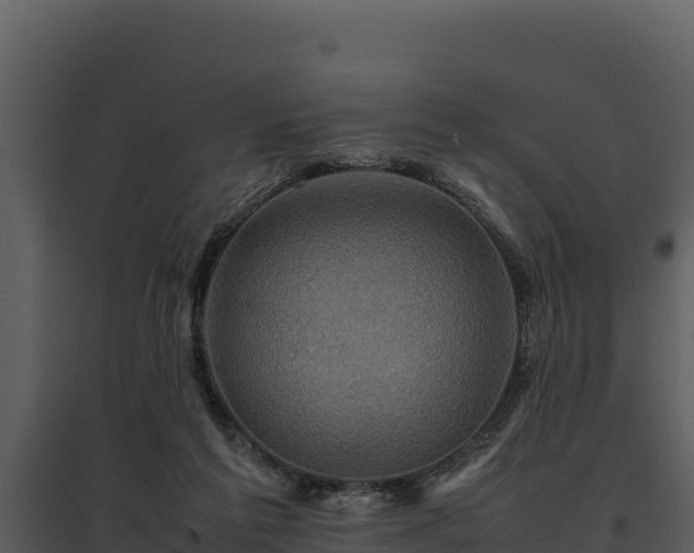 X0000095690213200801151156