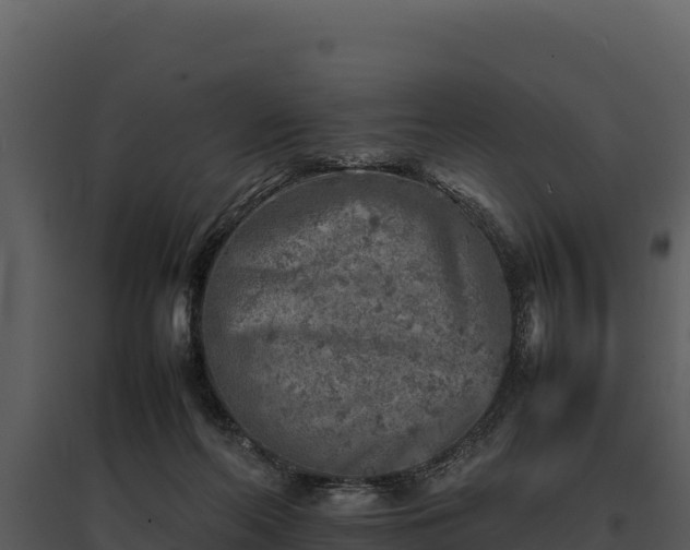 X0000095690214200801151156