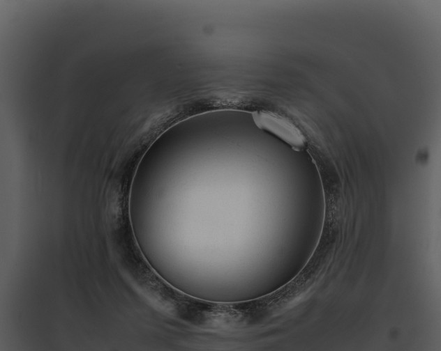 X0000095690215200801151156