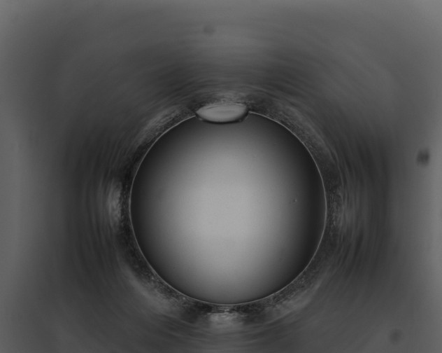 X0000095690216200801151156