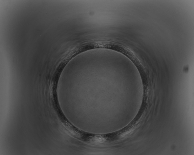 X0000095690217200801151156