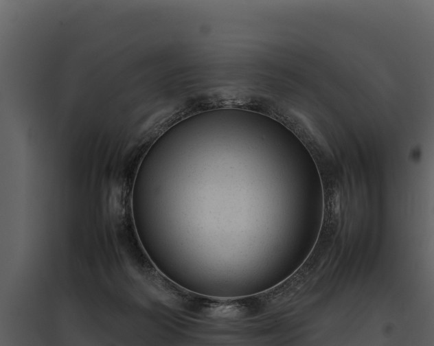 X0000095690218200801151156