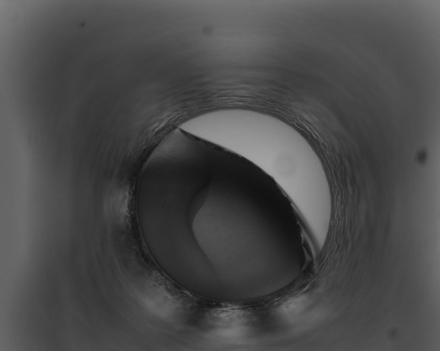 X0000095690219200801151156