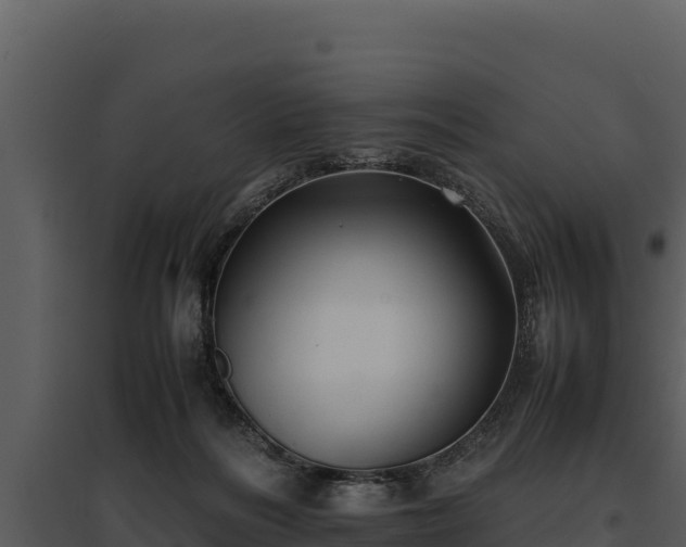 X0000095690220200801151156