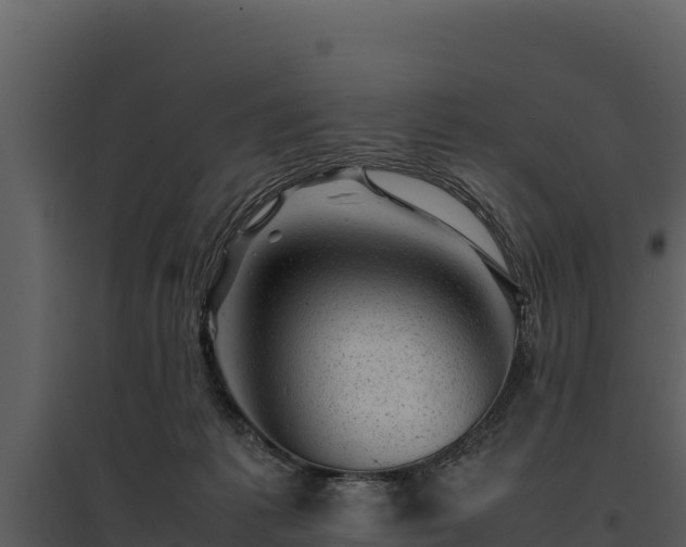 X0000095690221200801151156