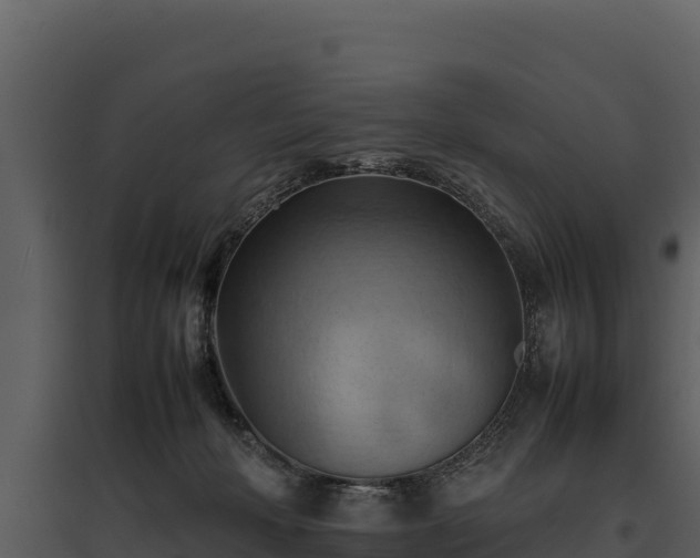 X0000095690222200801151156