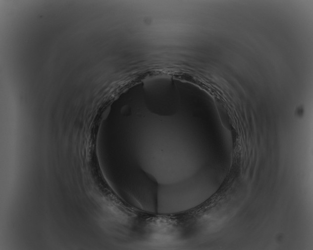 X0000095690223200801151156