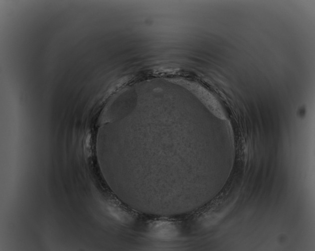 X0000095690224200801151156