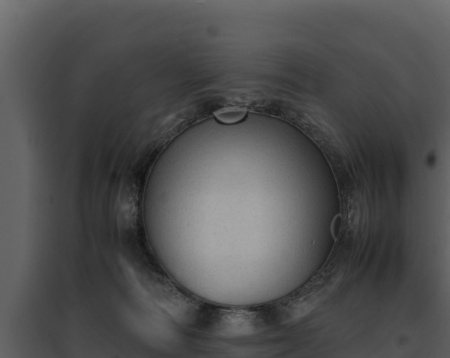 X0000095690226200801151156