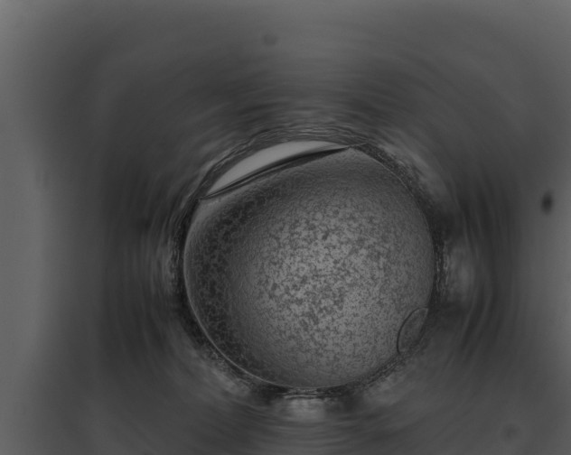 X0000095690228200801151156