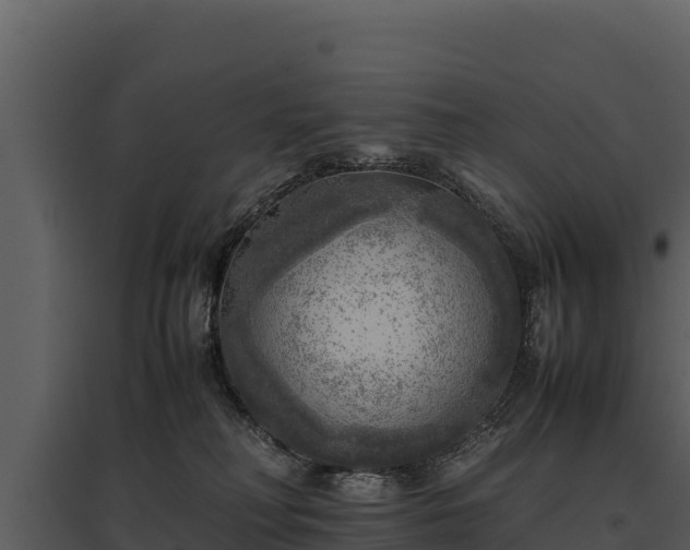 X0000095690230200801151156