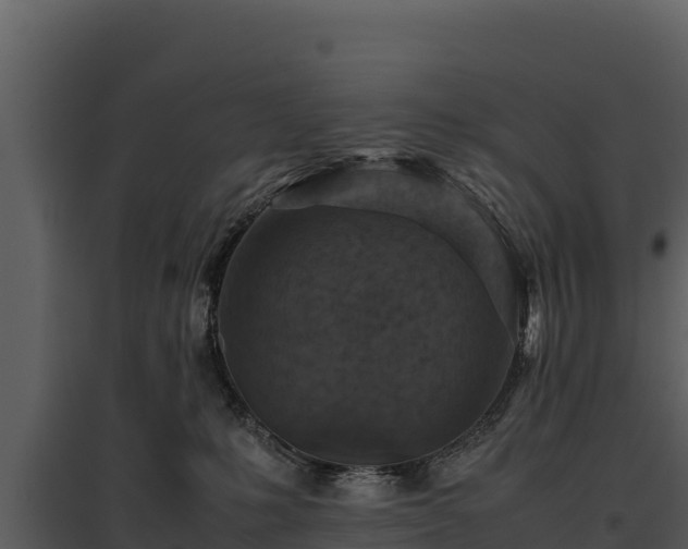 X0000095690231200801151156