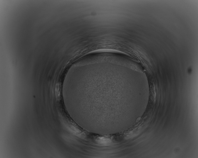 X0000095690232200801151156