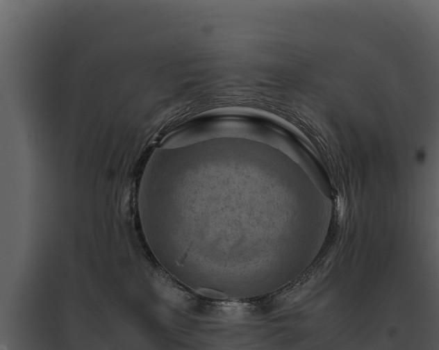 X0000095690233200801151156