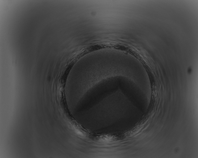 X0000095690235200801151155