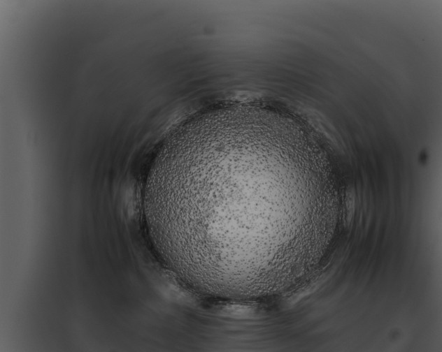 X0000095690236200801151155