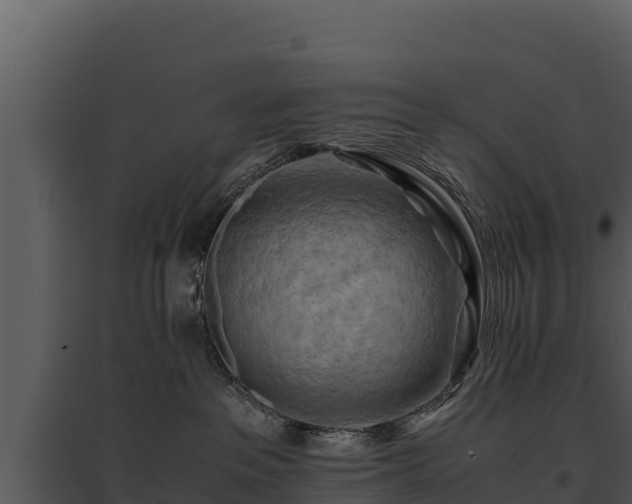 X0000095690237200801151155