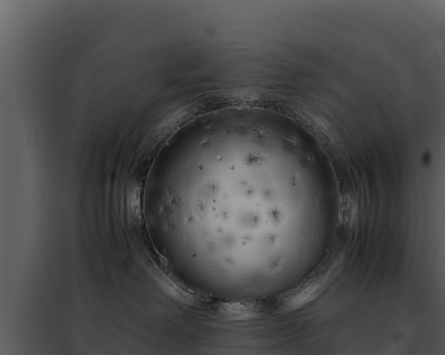 X0000095690238200801151155