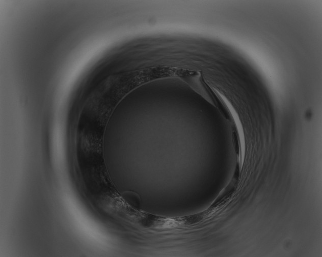 X0000095690239200801151155