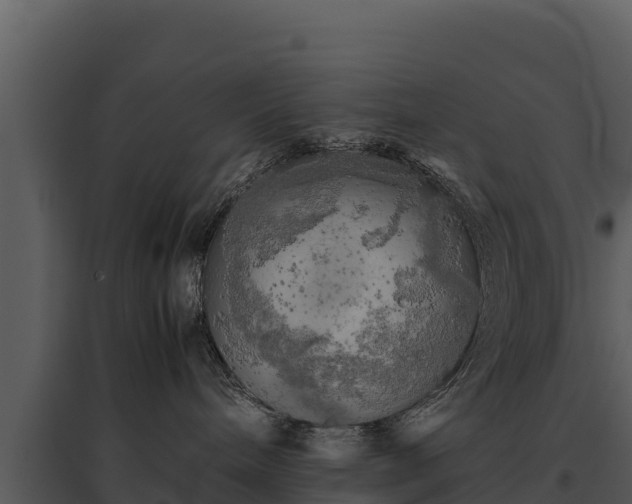 X0000095690240200801151155