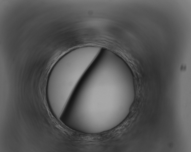 X0000095690241200801151155