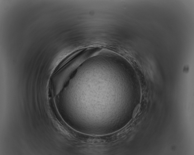 X0000095690242200801151155