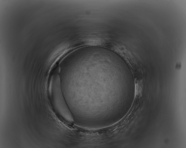 X0000095690243200801151155