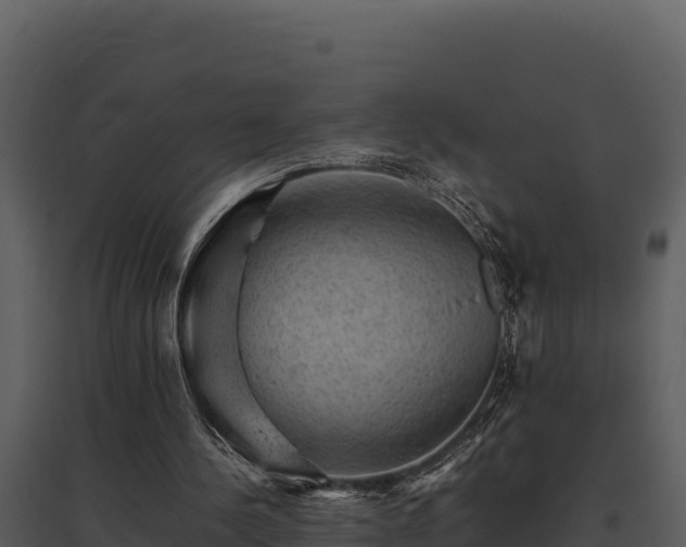 X0000095690244200801151155