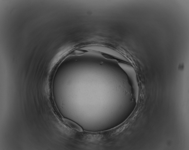 X0000095690245200801151155