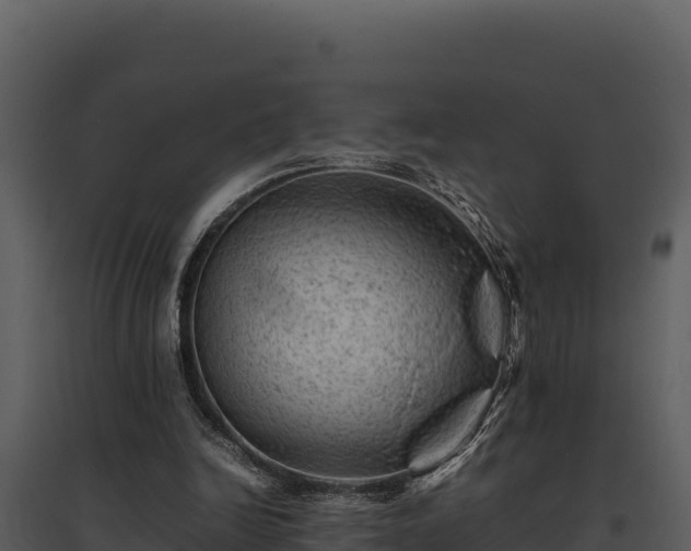 X0000095690246200801151155