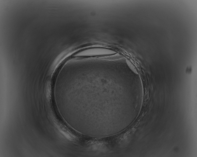 X0000095690247200801151155