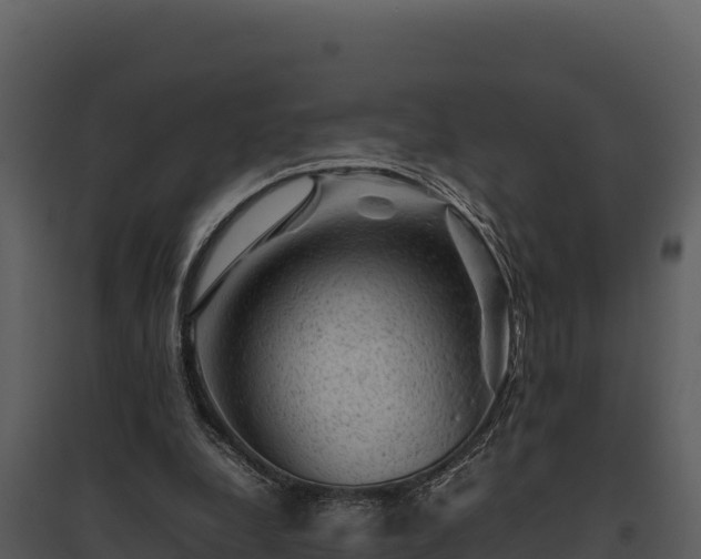 X0000095690248200801151155