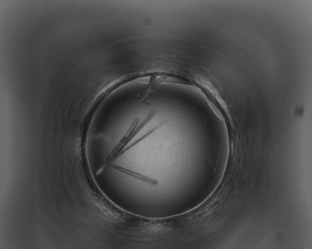 X0000095690249200801151155