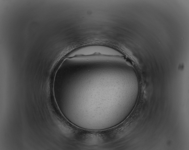 X0000095690250200801151155