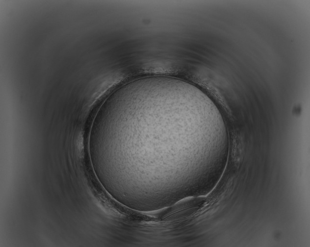 X0000095690251200801151155