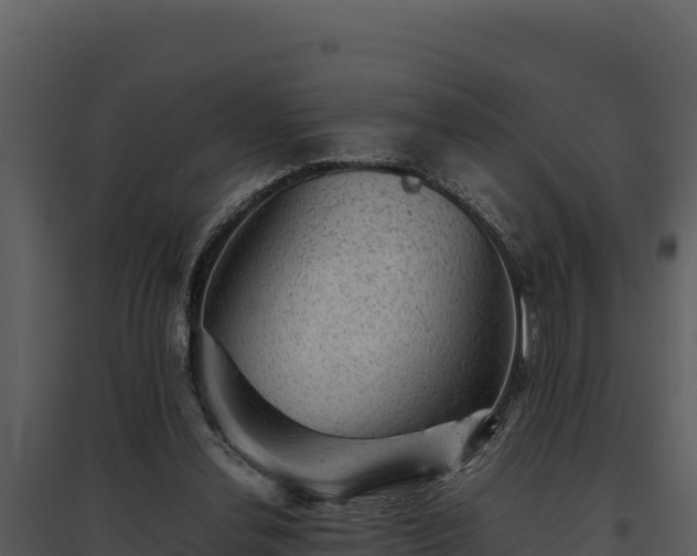 X0000095690252200801151155