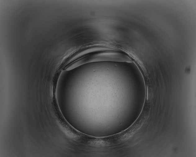 X0000095690253200801151155