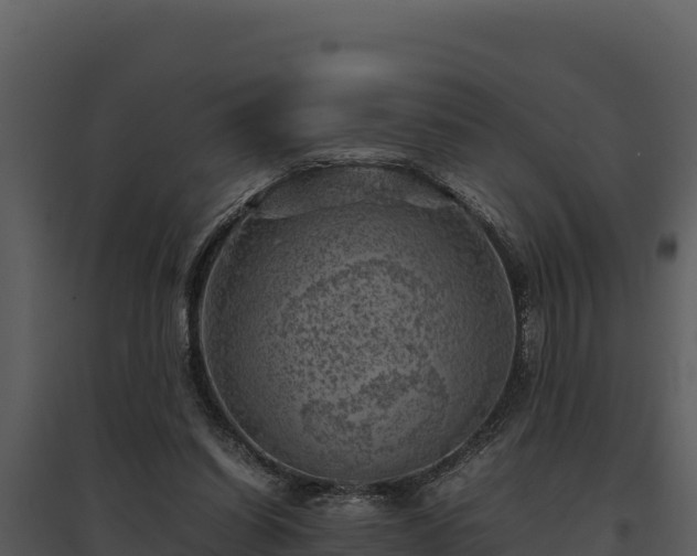 X0000095690254200801151155