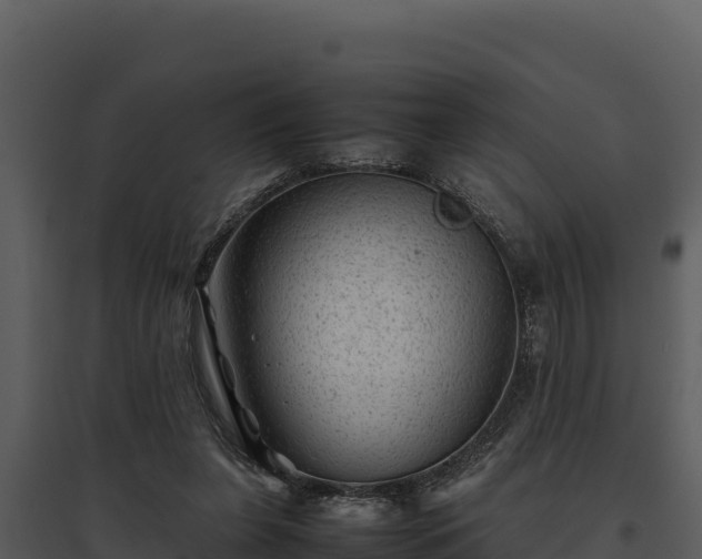 X0000095690255200801151155