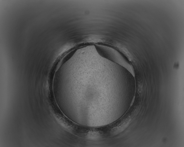 X0000095690256200801151155