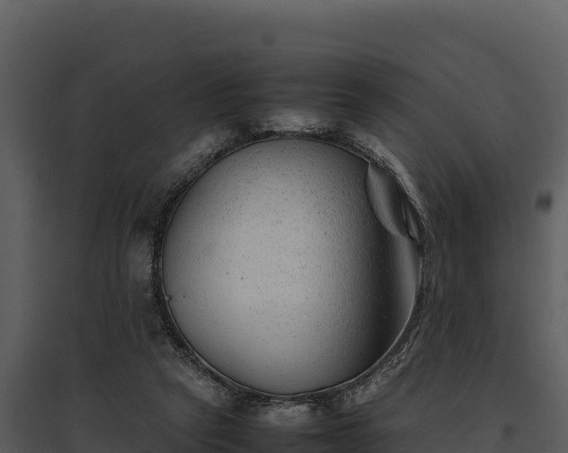 X0000095690257200801151155