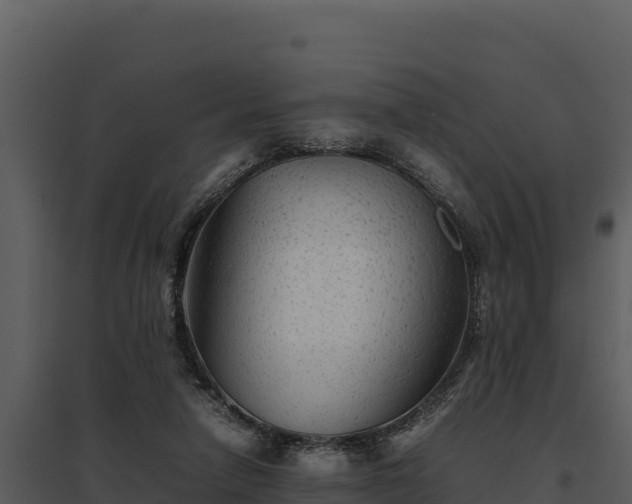 X0000095690258200801151155