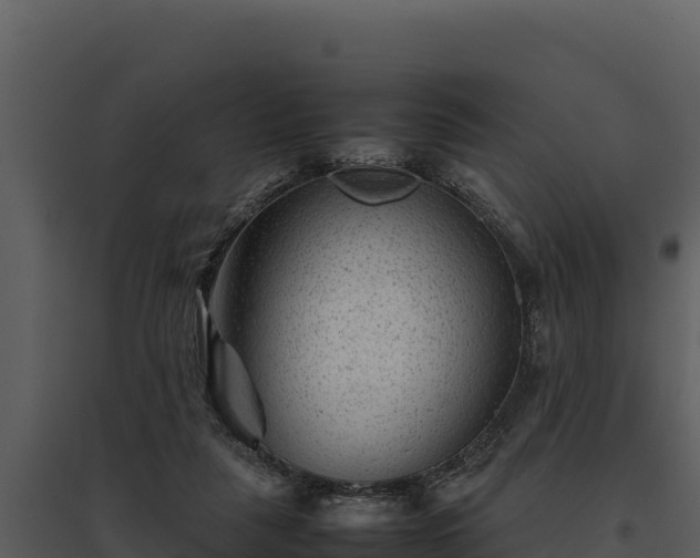 X0000095690259200801151155