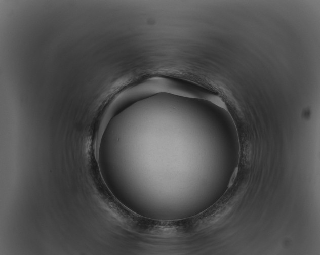 X0000095690260200801151155